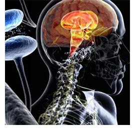 Brenchley House Neurological Research Centre 